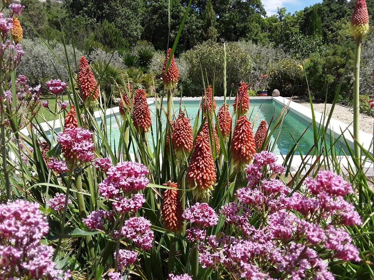 Vakantiehuis La Petite Maison Vaugines Frankrijk